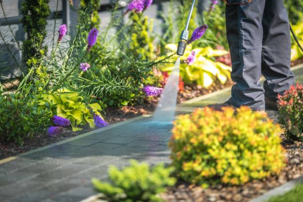 Best Post-Construction Pressure Washing  in Lincolnwood, IL