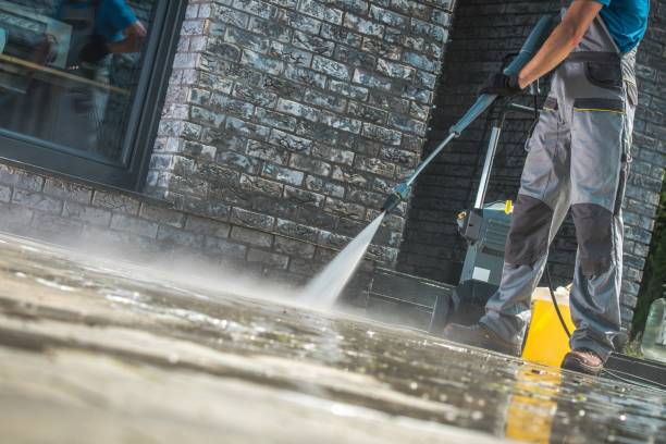 Best Animal Enclosure Cleaning  in Lincolnwood, IL