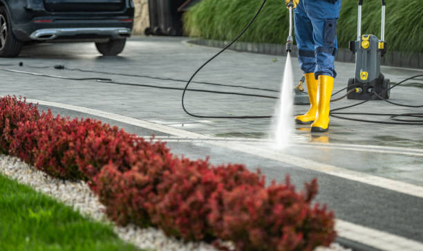 Best Driveway Pressure Washing  in Lincolnwood, IL